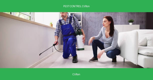 PEST CONTROL Clifton
